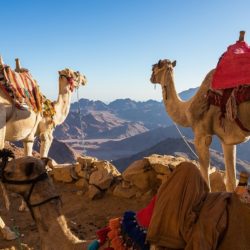 HIking views - Egypt