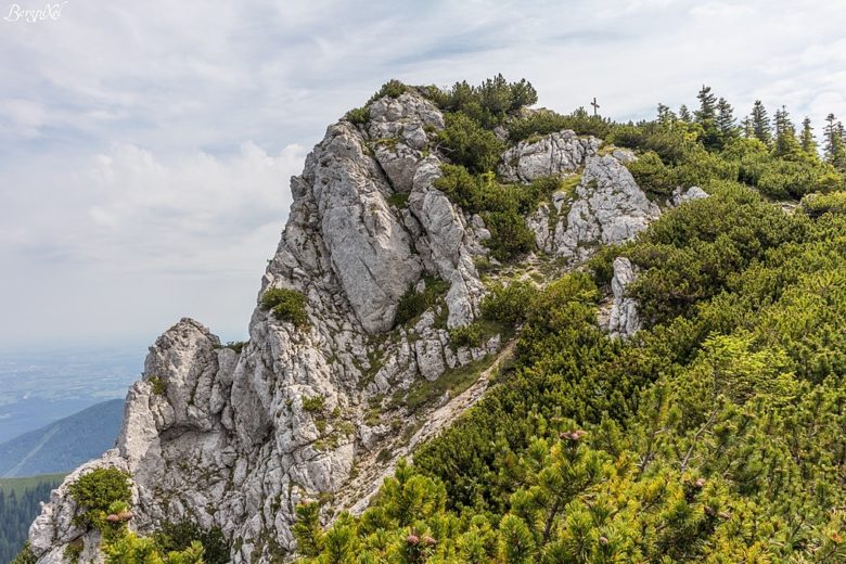 ... den Gipfel der Hochsalwand.