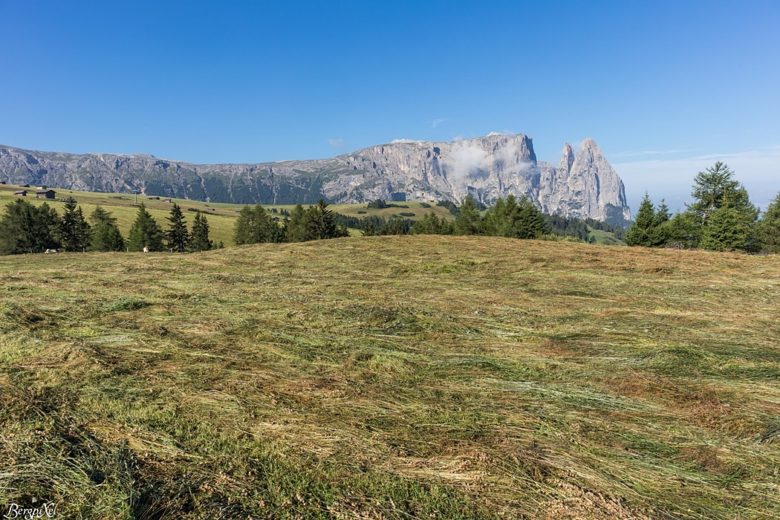 Das Wahrzeichen Südtirols, der Schlern