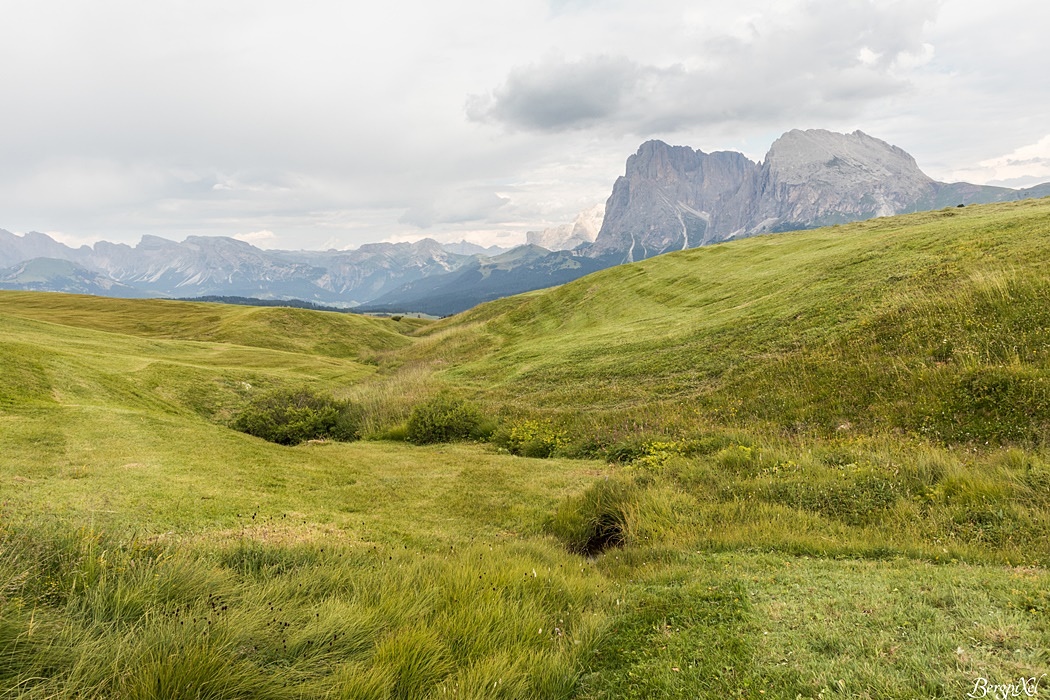 ... wieder zurück auf die Seiser Alm.